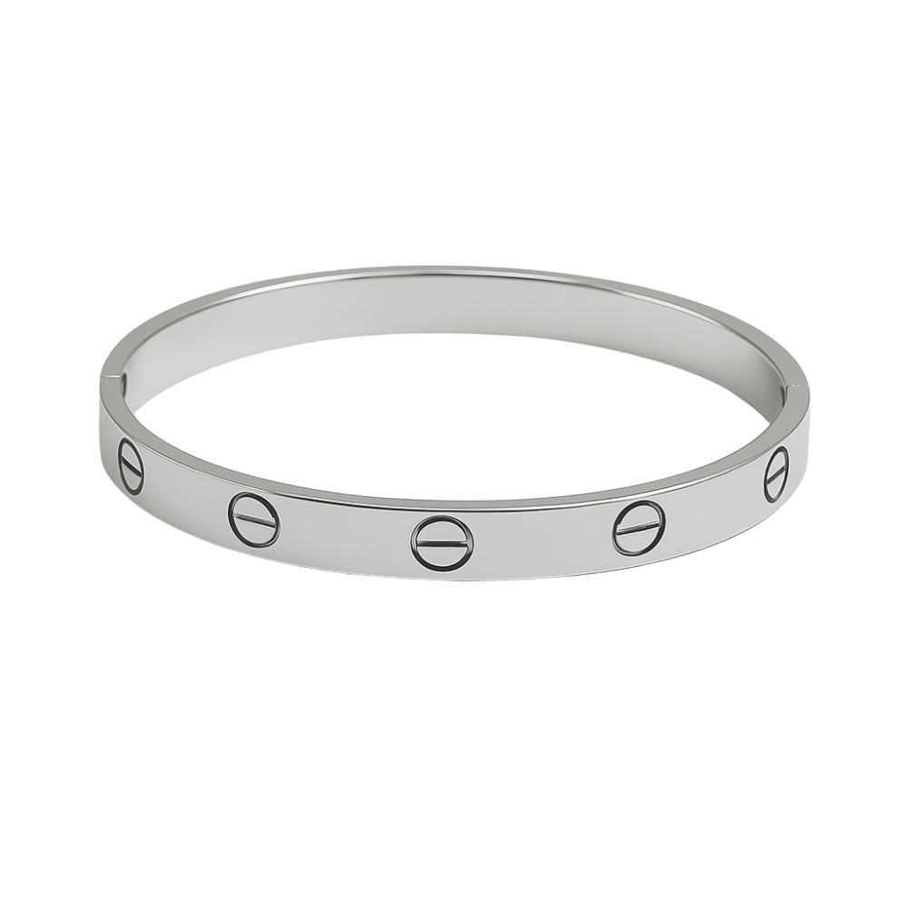 Cercle d’Acier Bracelet