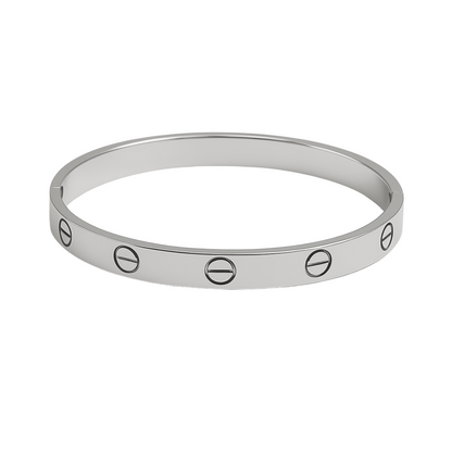 Cercle d’Acier Bracelet