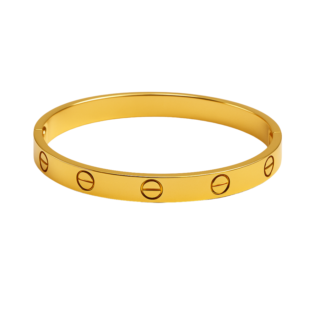 Cercle d’Acier Bracelet