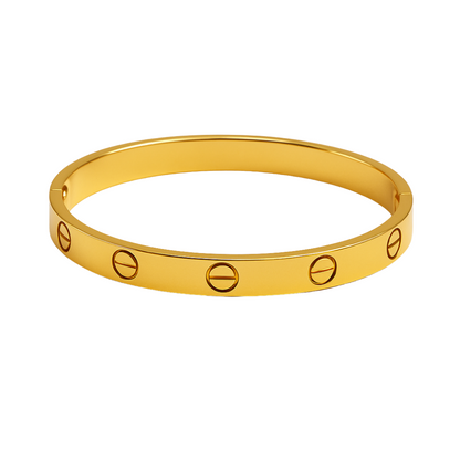 Cercle d’Acier Bracelet